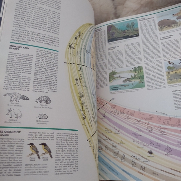 Atlas of the World hardcover book Readers Digest - Picture 12 of 16